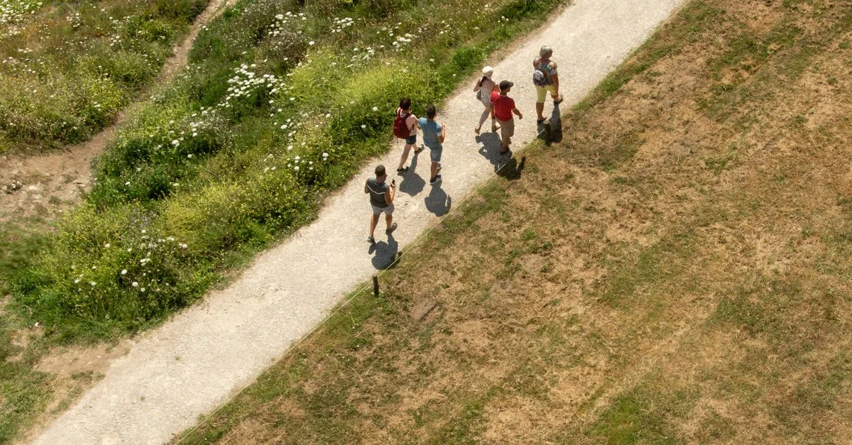 Vue aérienne d'un groupe de personnes marchant sur un sentier naturel entouré d'herbe et de fleurs sauvages.